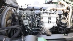 
										Mitsubishi Fuso Fighter Green full									