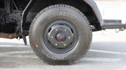 
										MITSUBISHI FUSO TRUCK (W/BODY) full									