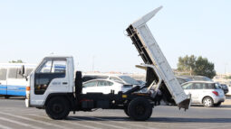 ISUZU ELF PICKUP (DUMP)