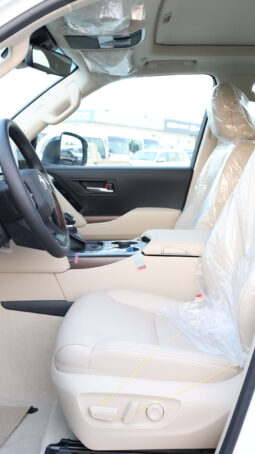 
										TOYOTA LAND CRUISER (300 SERIES) full									