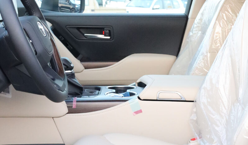 
								TOYOTA LAND CRUISER (300 SERIES) full									
