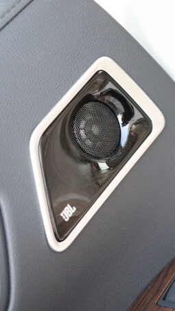 
										TOYOTA LAND CRUISER (300 SERIES) full									