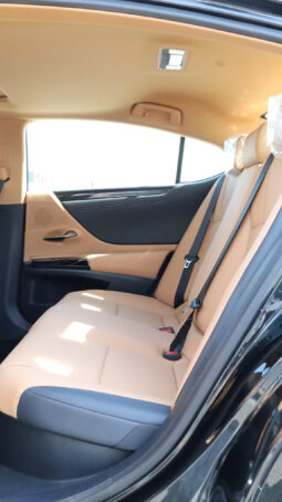 
										TOYOTA LEXUS (ES300H) full									