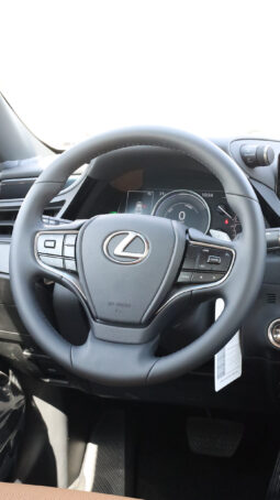 
										TOYOTA LEXUS (ES300H) full									