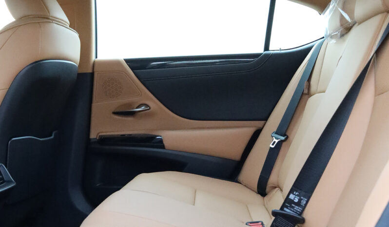 
								TOYOTA LEXUS (ES300H) full									