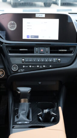 
										TOYOTA LEXUS (ES300H) full									