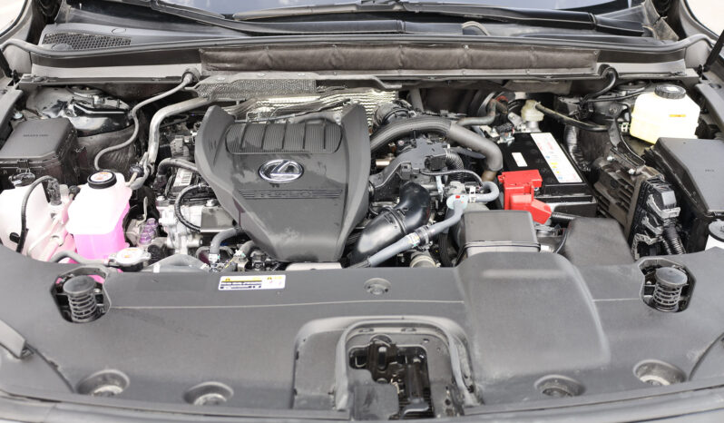 
								TOYOTA LEXUS (RX350) full									