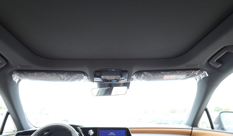 
								TOYOTA LEXUS (RX350) full									