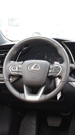 
										TOYOTA LEXUS (RX350) full									