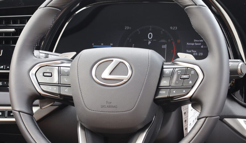 
								TOYOTA LEXUS (RX350) full									
