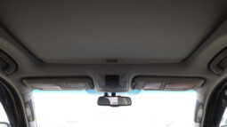 
										TOYOTA LAND CRUISER (PRADOO) full									