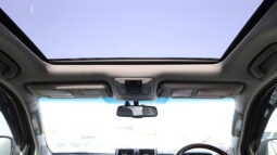 
										TOYOTA LAND CRUISER (PRADOO) full									