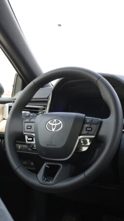 
										TOYOTA CAMRY (AXVH80) full									