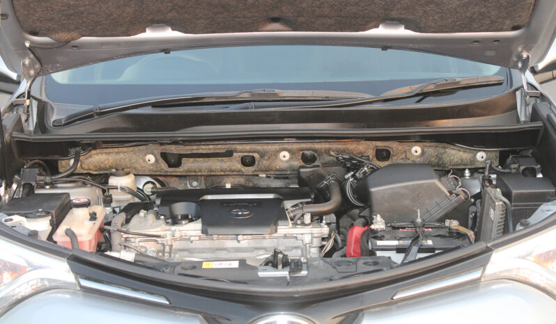 
								TOYOTA RAV4 full									